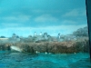 dsc07137