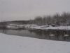 dsc00650
