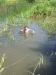 thumb_img_7195_1024