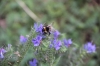 img_4775