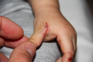 img_1370 img_1370