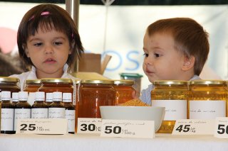 img_6155 img_6155