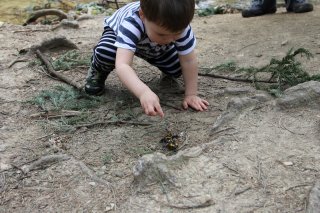 img_7812 img_7812