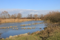 img_1260
