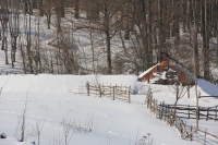 img_1641