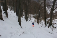 img_1676