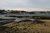 img_8679